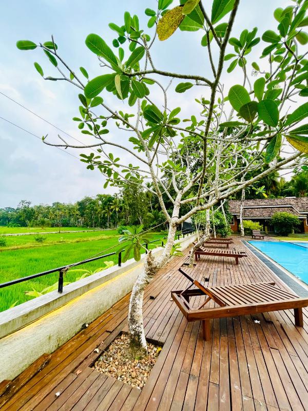 Eco Lux Villas - image 15