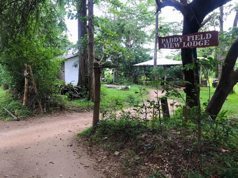 Paddy Field View Lodge Sigiriya - image 16