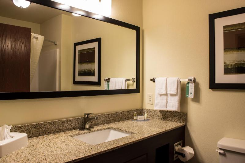Deluxe King Suite image 2