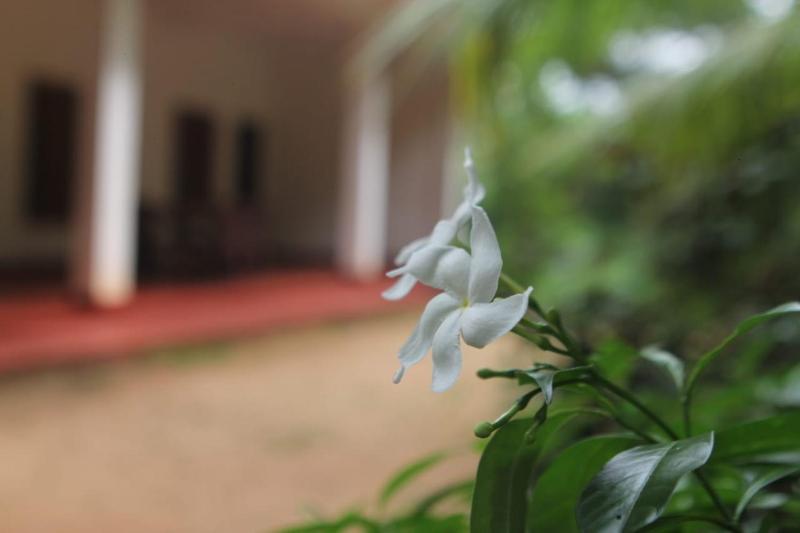 Punkalasa tourist lodge - image 17