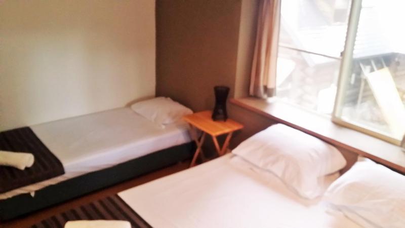 Hakuba Haven Lodge - image 27