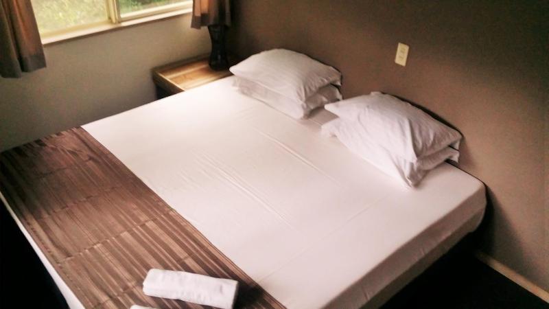 Hakuba Haven Lodge - image 28