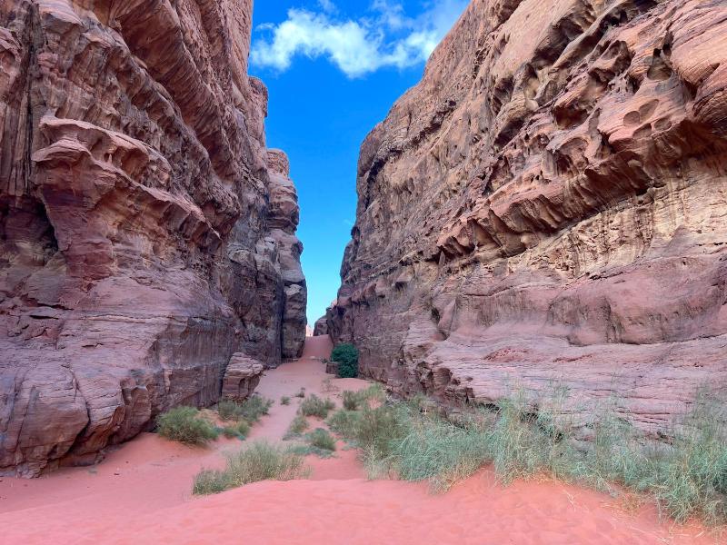 Wadi Rum Tours and Camp - image 10