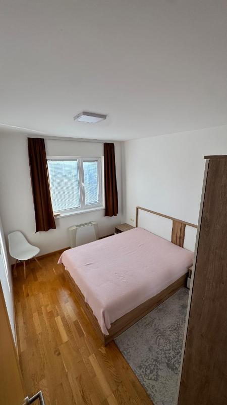 Large & Comfortable Apartment in Ilidža - image 4