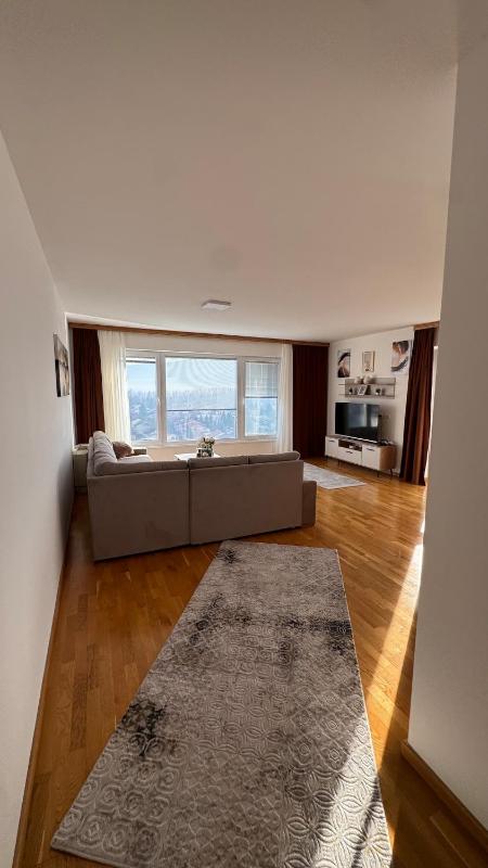 Large & Comfortable Apartment in Ilidža - image 16