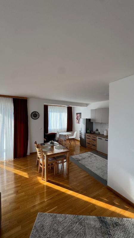 Large & Comfortable Apartment in Ilidža - image 2