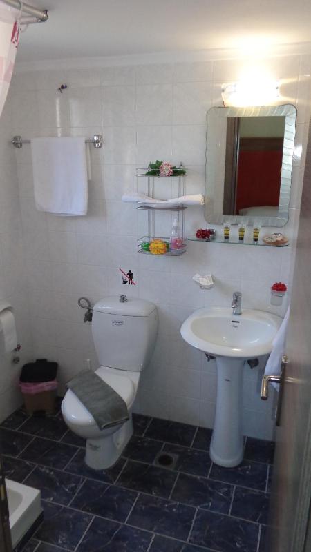 One-Bedroom Apartment image 2