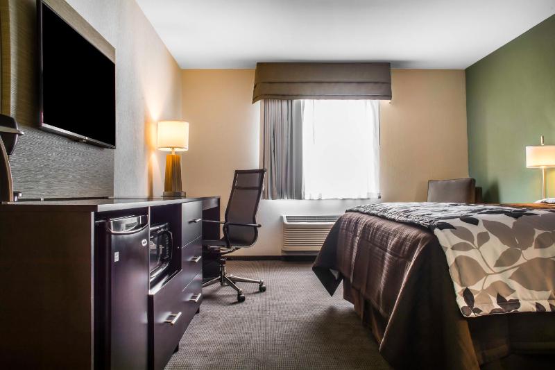 King Room - Non-Smoking image 4