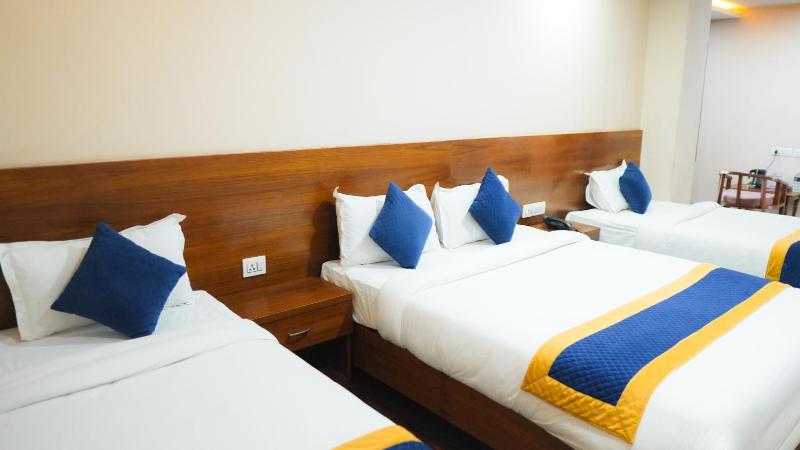 Hotel Mitra Inn - image 11