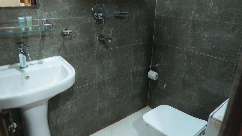 Hotel Mitra Inn - image 16