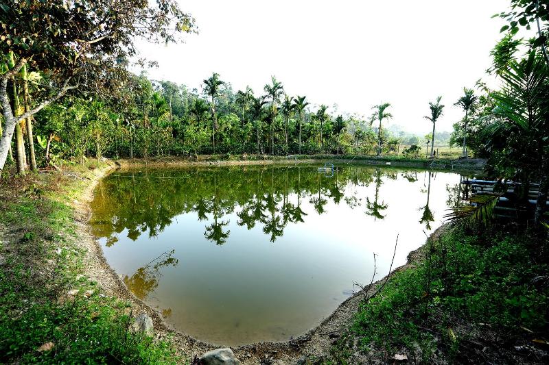 Areca Nut Homestay - image 3