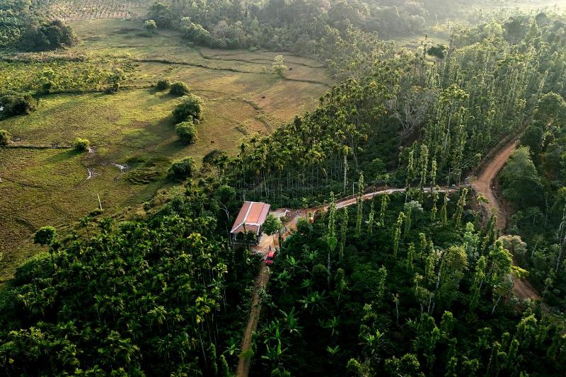 Areca Nut Homestay - image 5