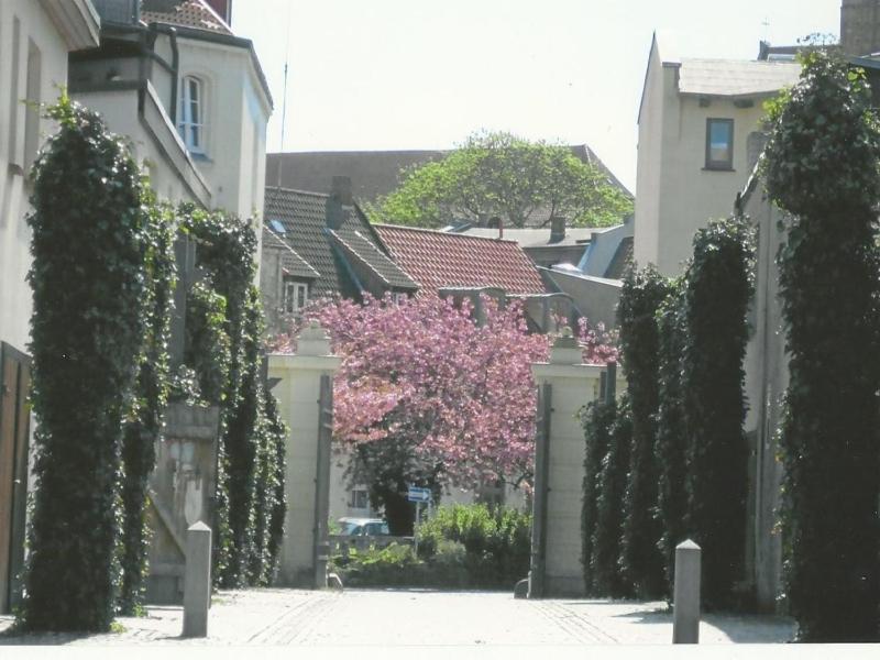 Altstadtsonne 2 - ABC35 - nur Feriengäste! - image 6