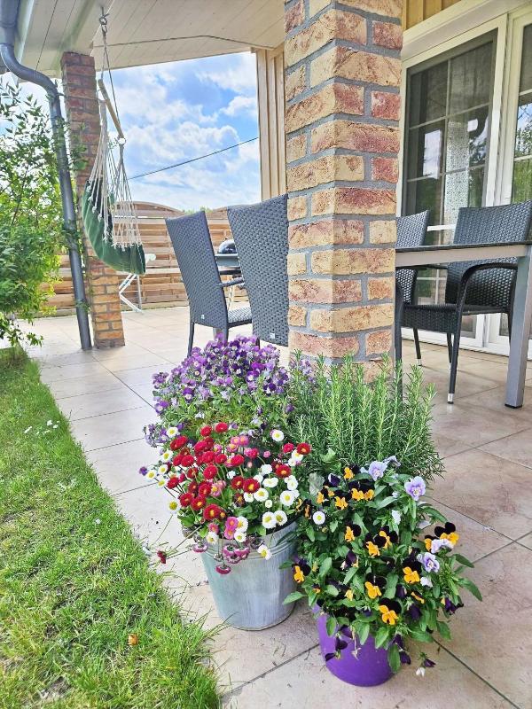 Ferienhaus Sommerwiese - ABC327 - image 8