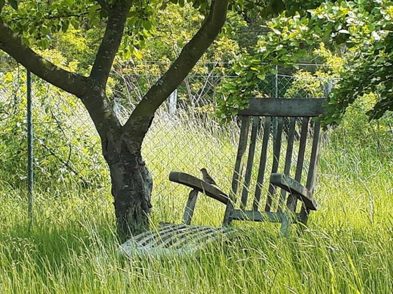 Ferienhaus Sommerwiese - ABC327 - image 18