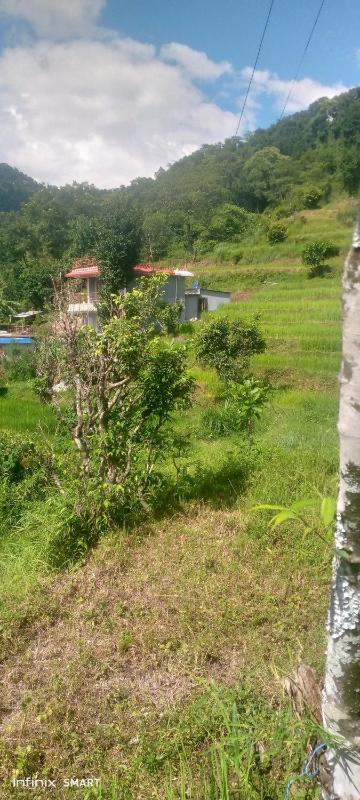 Parampara farm stay - image 2