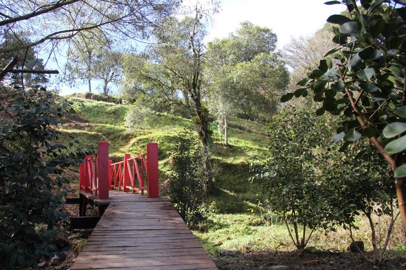 Café e Cabanas Lenha no Fogo - image 4