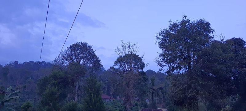 Bymana Serenity Estate Stay - image 4