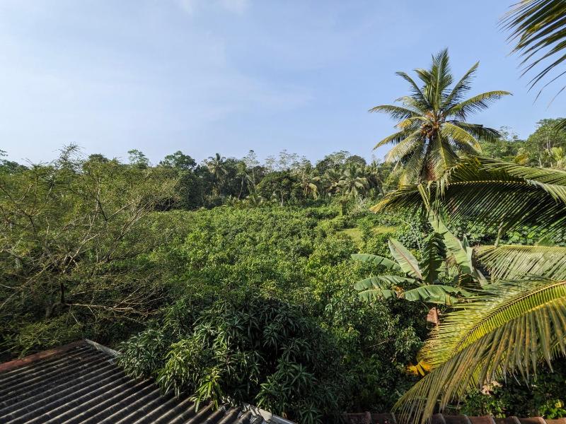 Villa 505 Induruwa - image 7