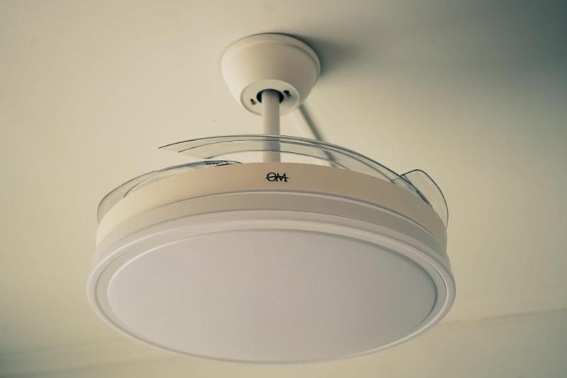 Perla11 MDQ - image 4