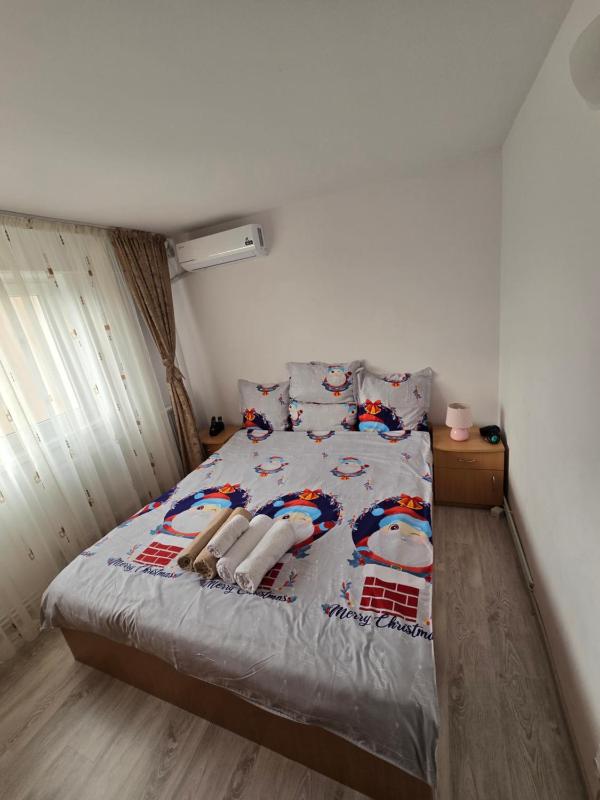 Apartament 2 camere Brazda lui Novac - image 6