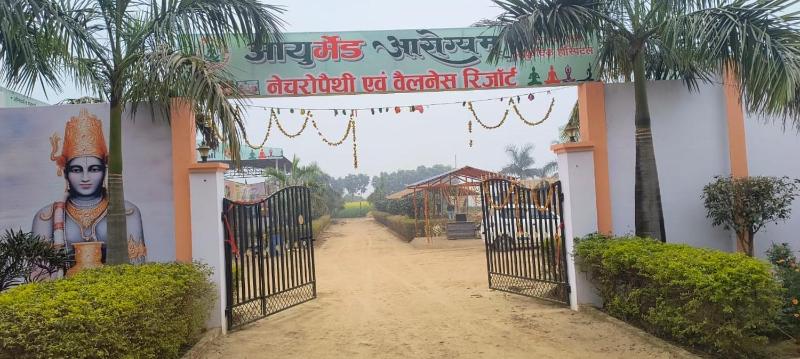 Ayurmeda Resort - image 2