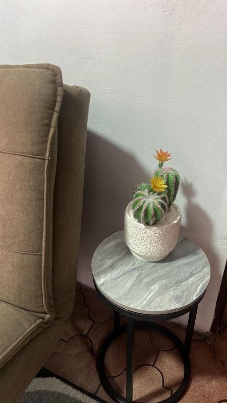 Casa Girasol PZ - image 7
