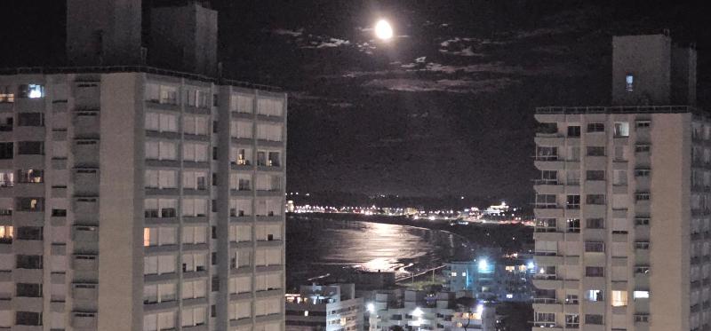 apartamento a estrenar frente al mar - image 37