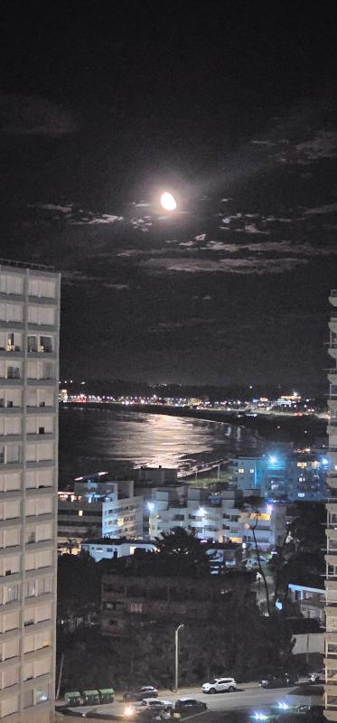 apartamento a estrenar frente al mar - image 44