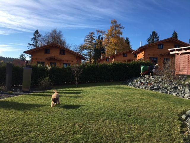 Ferienhaus-Sehnsucht-Harz-Das-Haisel - image 24