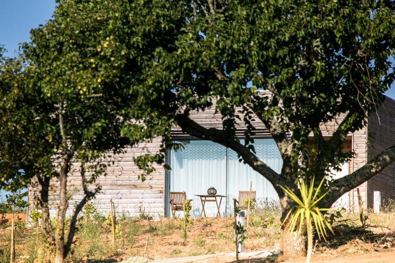 Deluxe Villa image 3