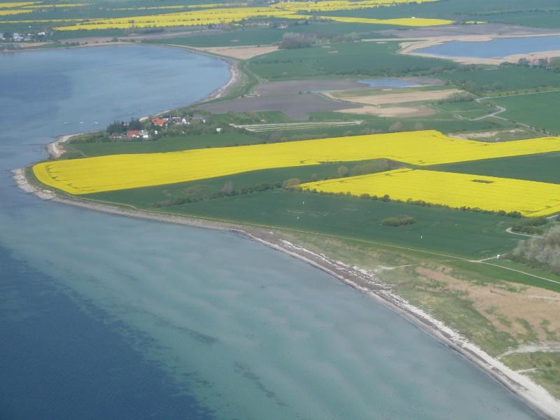 Haus Achtern Diek in erster Reihe am Meer - image 4