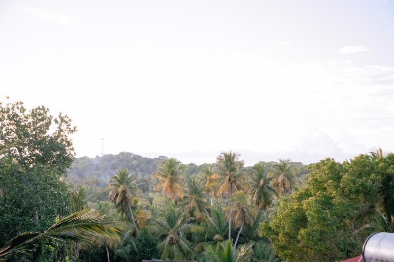 Brown Birds Villa - image 10