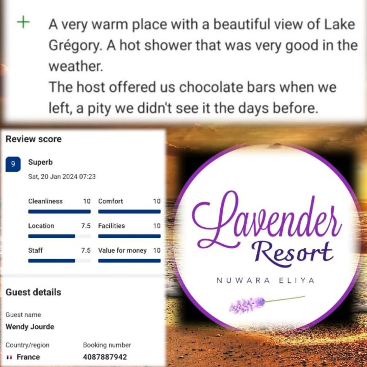 Lavender Resort & Wood Cabin - image 32