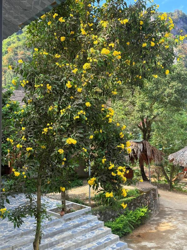 Dan Nhu Homestay - image 23