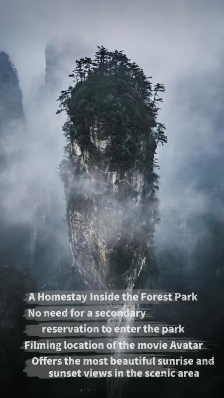 PeakMist Retreat Inside ZhangJiaJie Forest Park-Country-style specialty diningIn-park accommodation - image 1