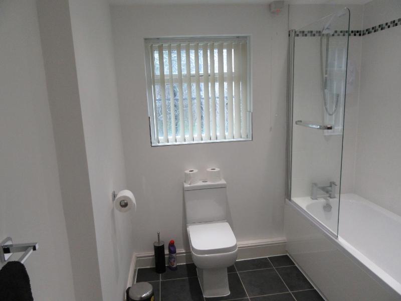 One-Bedroom Apartment image 3