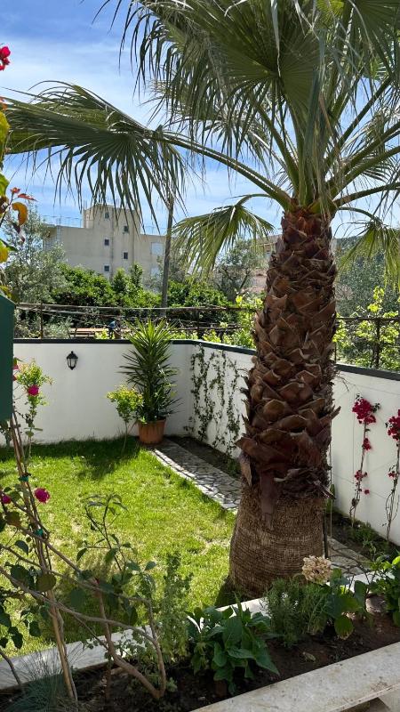 Orange Garden - image 12