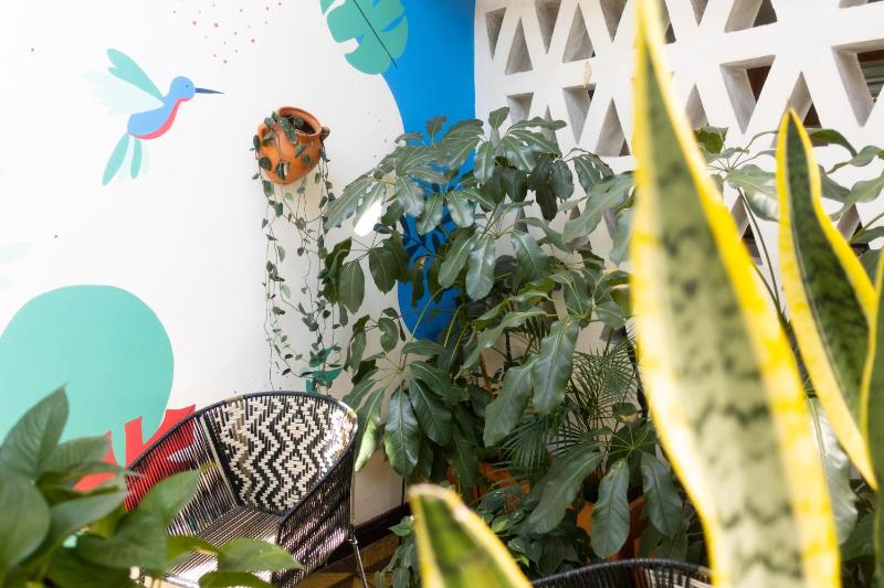 La Palmera Hostel - image 9