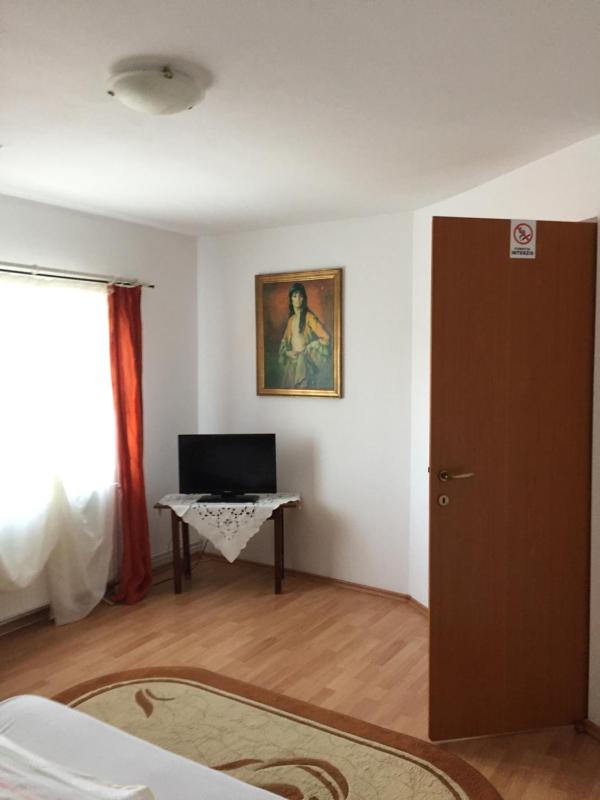 Pensiunea Kristine Sibiu - image 15