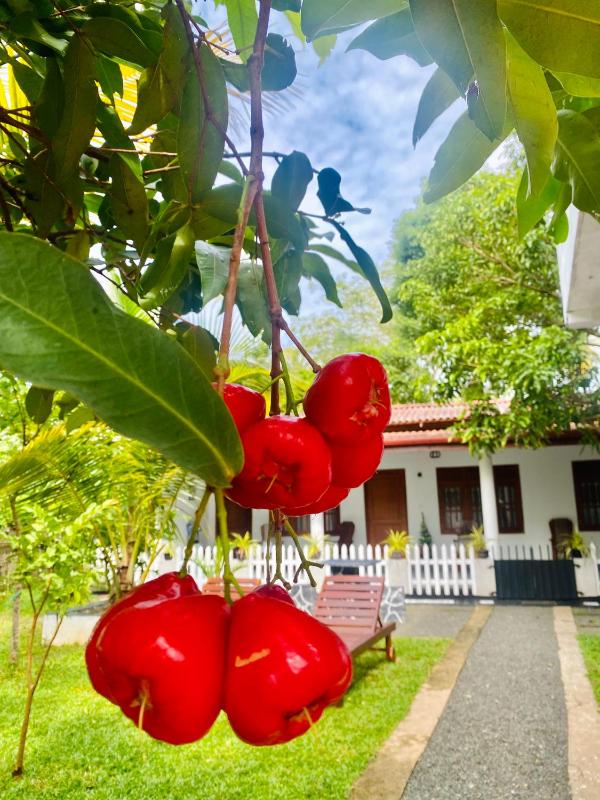 Miranda Villa - image 22