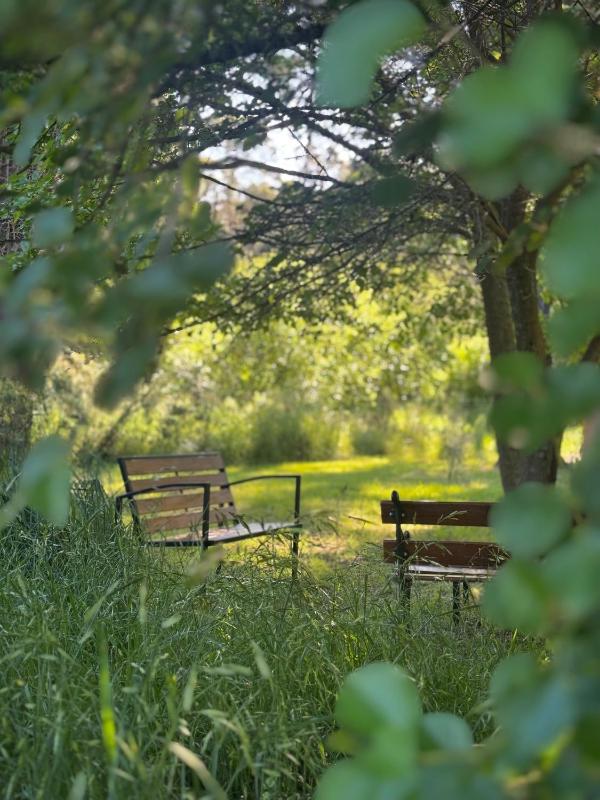 Cabañas Punto Prana - image 18