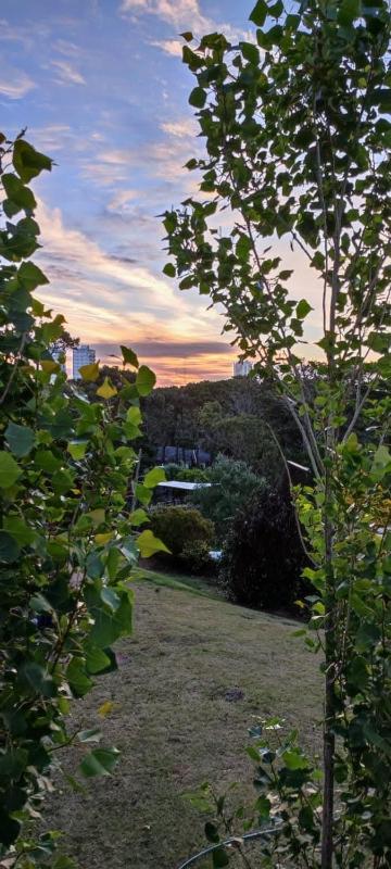 casa alta pinamar - image 24