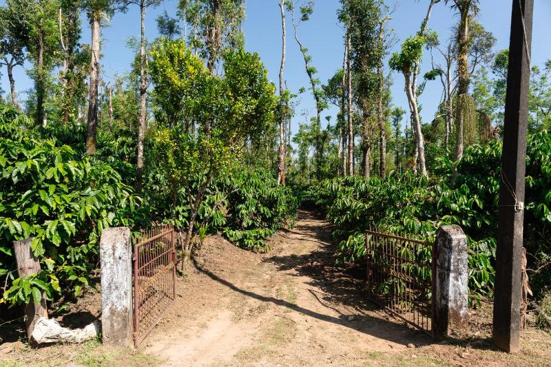 SaffronStays Coffeeshire - image 35