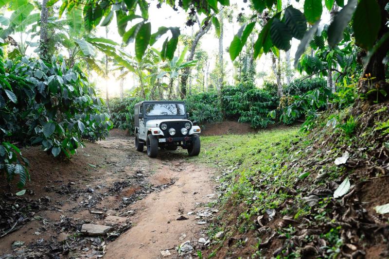 SaffronStays Coffeeshire - image 17
