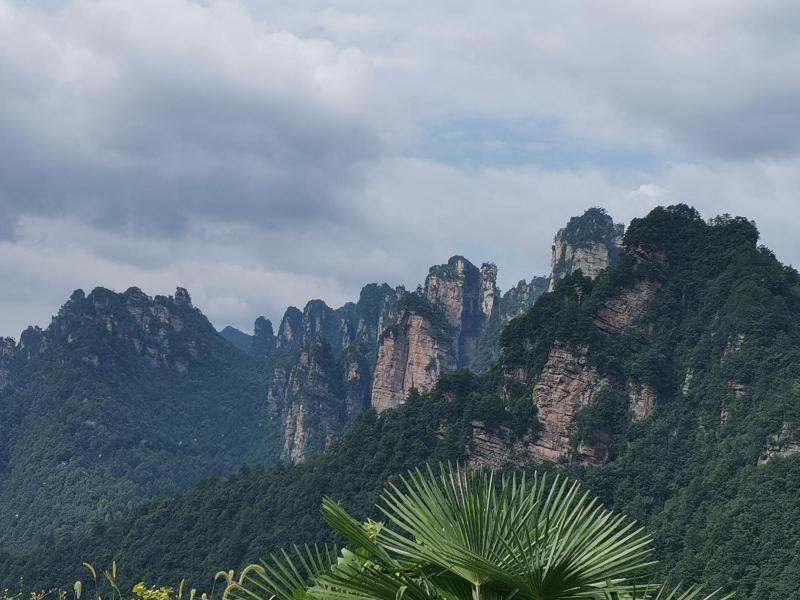 PeakMist Retreat Inside ZhangJiaJie Forest Park-Country-style specialty diningIn-park accommodation - image 48