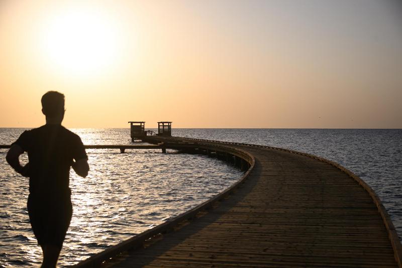 The Kaktus Somabay - image 11