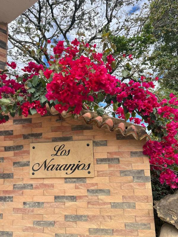 Cabaña Los Naranjos - image 19