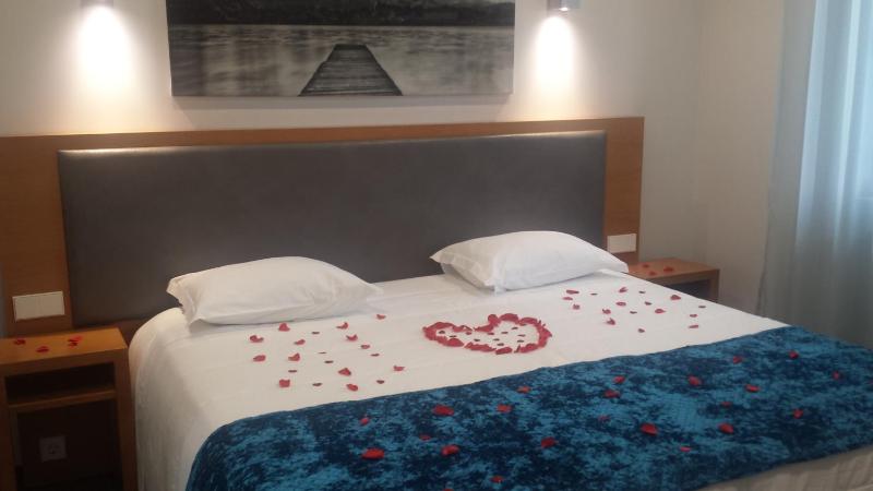 One-Bedroom Apartment image 2