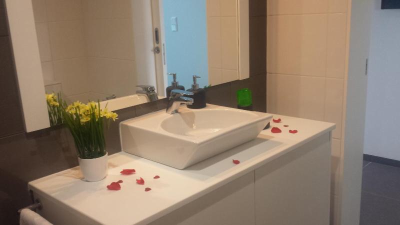 One-Bedroom Apartment image 4